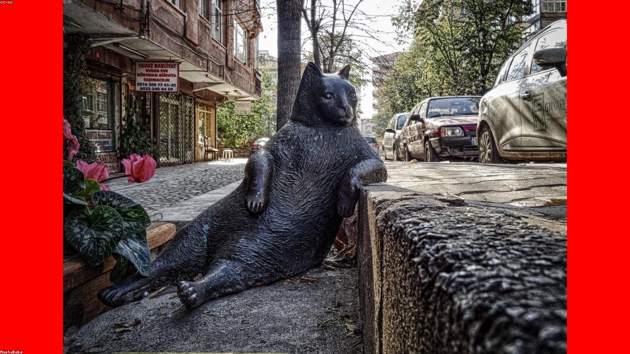 Mastering Android Studio: A Comprehensive Guide for Developers